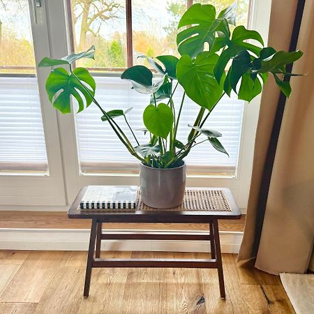 Happy Place Mit Sonnen-Balkon Und Stellplatz Nur 400 M Zum Strand 沙博伊茨 外观 照片